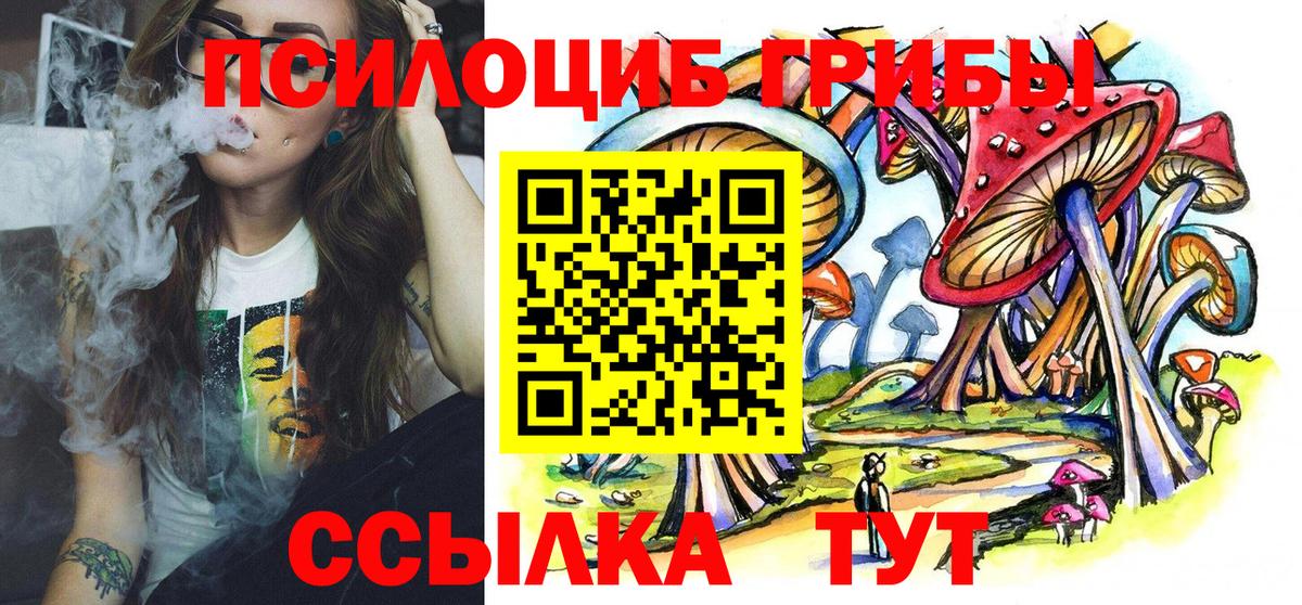 Ипатово  Псилоцибиновые грибы GOLDEN TEACHER  купить наркоту  Вход с VPN  Псилоцибиновые грибы Psilocybine cubensis 
