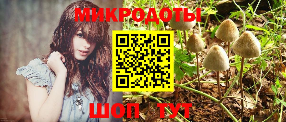 Псилоцибиновые грибы Cubensis Ипатово