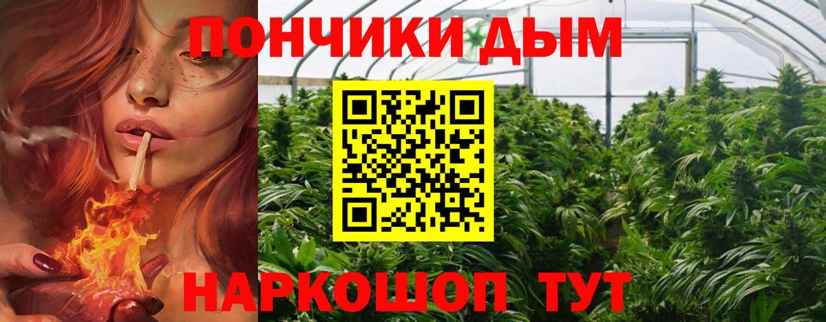 Бошки Шишки SATIVA & INDICA Ипатово